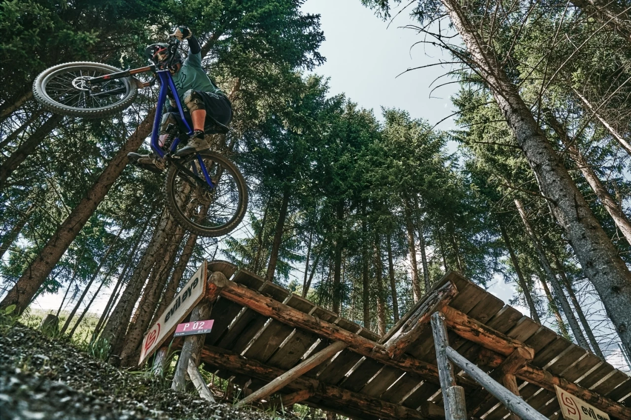 Dartmoor Trailbike Thunderbird CF Evo Carbon 29" | Matt Black/Grey – Bild 4