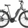 Falter E-Bike E 9.3 Traffic Grey 2 Falter E-Bike E 9.3 Traffic Grey -Transition Bikes Verkäufe falter e bike e 9 3 traffic grey 723238 9120071034146 600x600